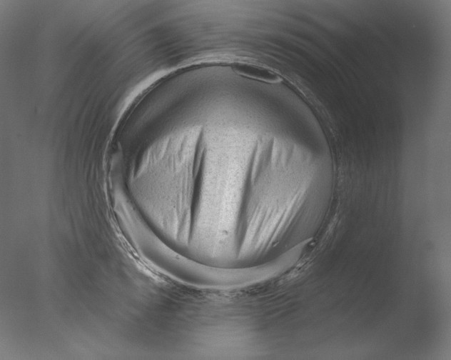 X0000076320854200610201637