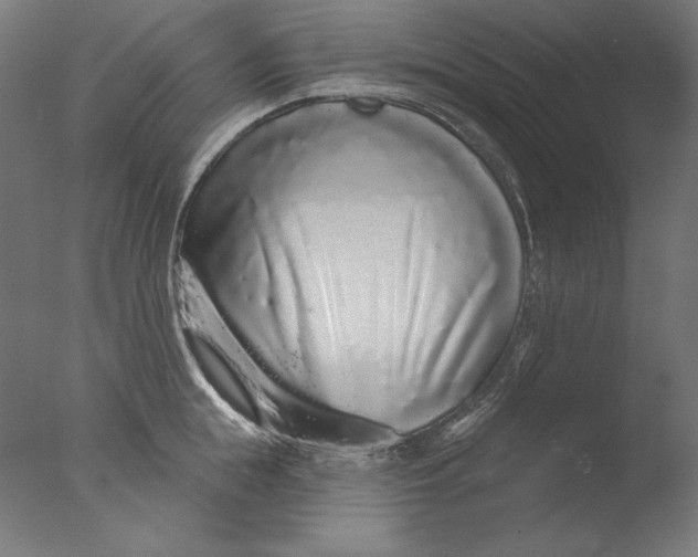 X0000076320855200610201637