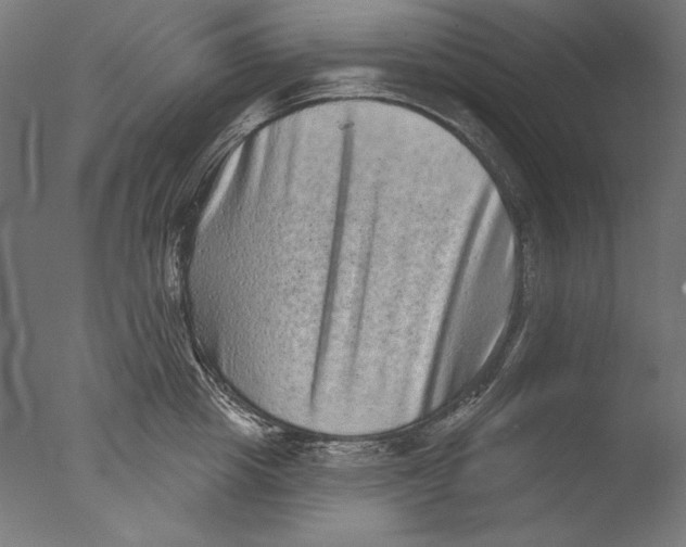 X0000076320857200610201637