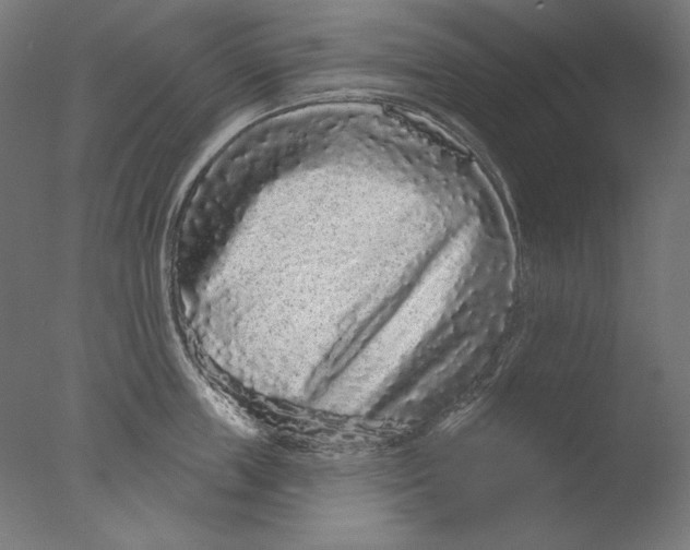 X0000076320859200610201637