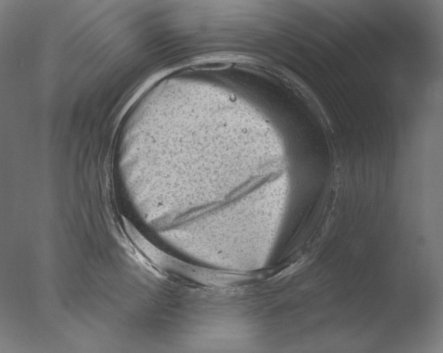 X0000076320860200610201637