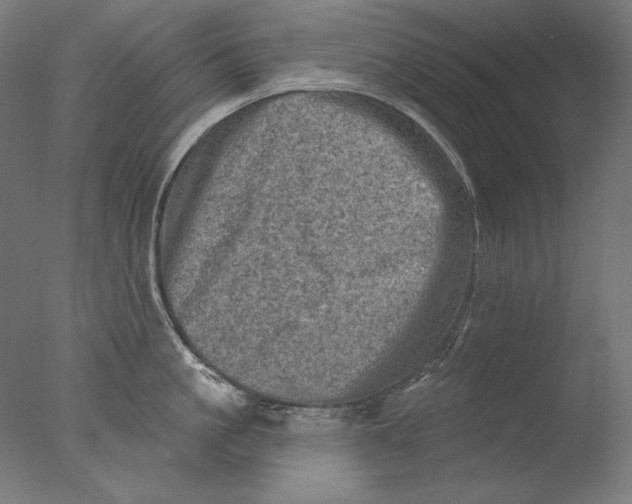 X0000076320861200610201637