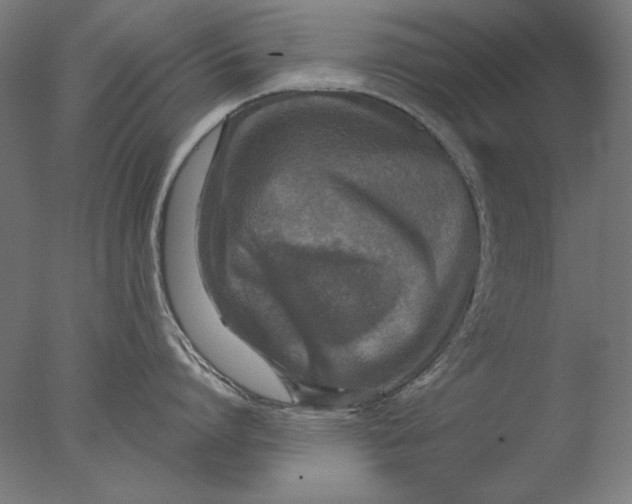 X0000076320864200610201637