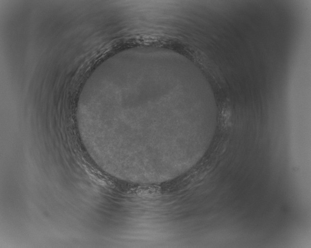 X0000076320865200610201636