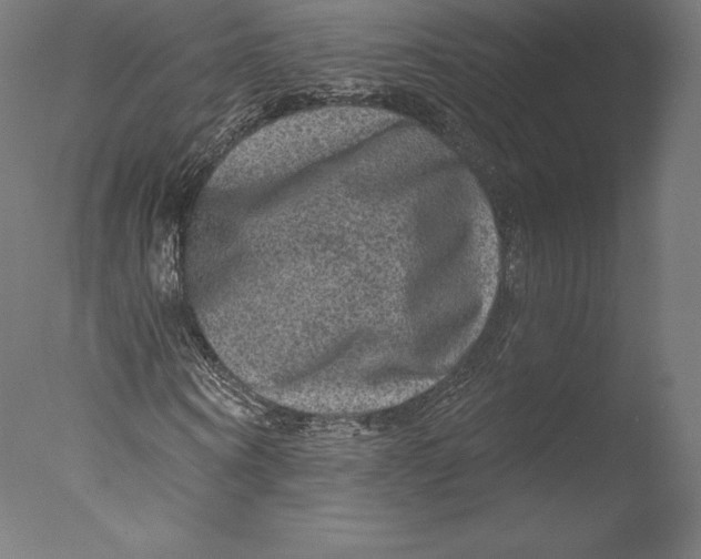 X0000076320866200610201636