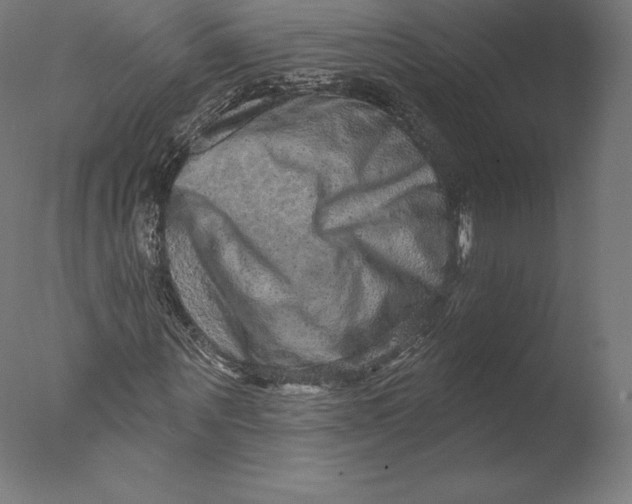 X0000076320867200610201636