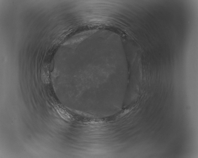 X0000076320868200610201636