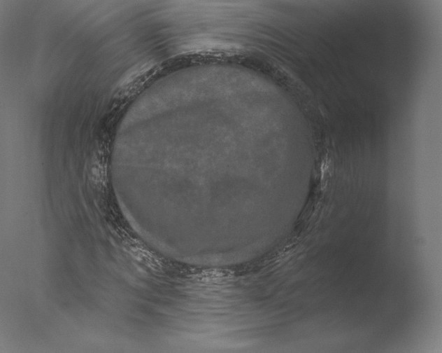 X0000076320869200610201636