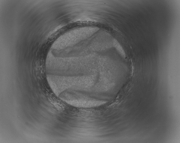 X0000076320870200610201636