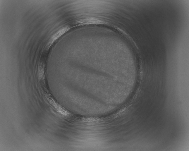 X0000076320873200610201636