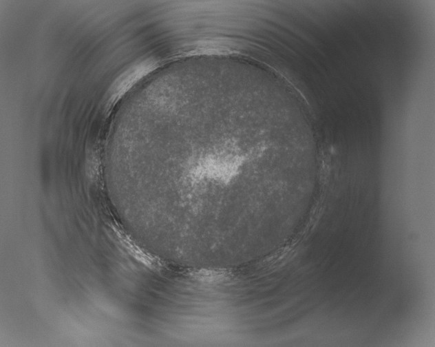 X0000076320874200610201636