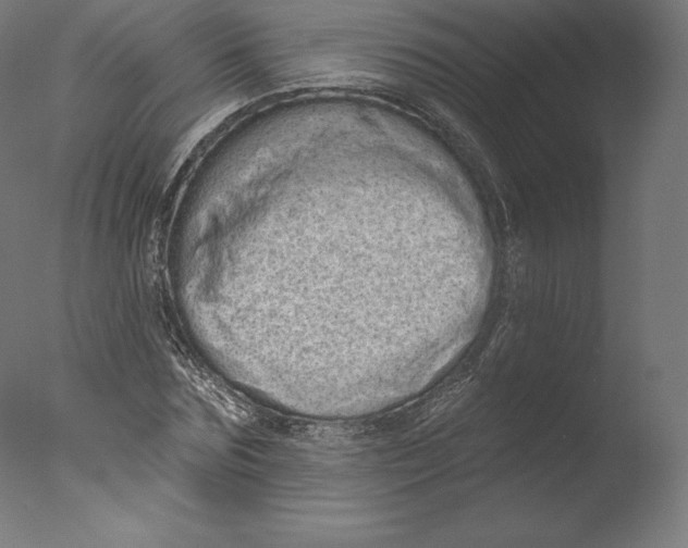 X0000076320875200610201636