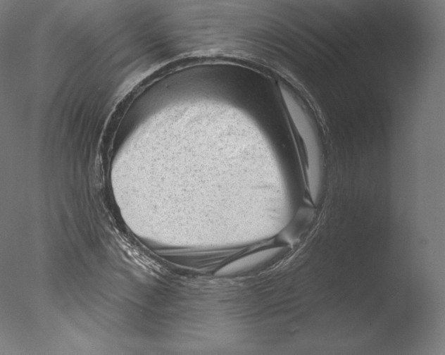 X0000076320876200610201636