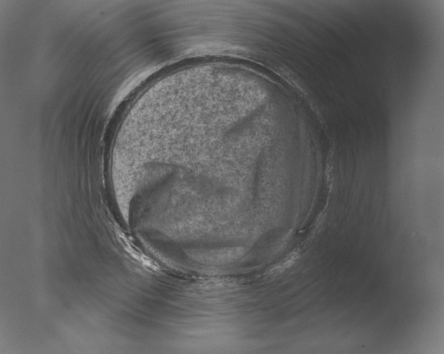 X0000076320877200610201636