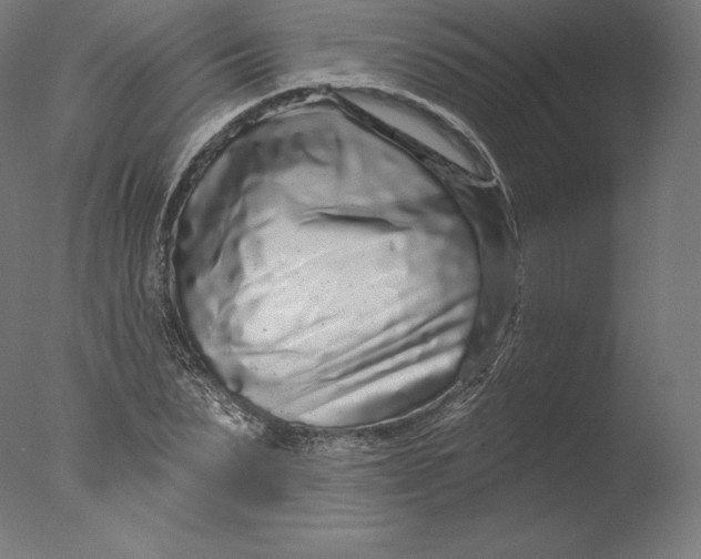 X0000076320879200610201636