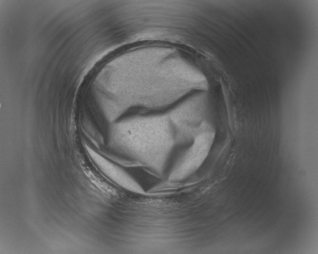 X0000076320880200610201636