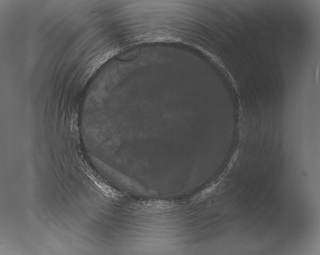 X0000076320881200610201636