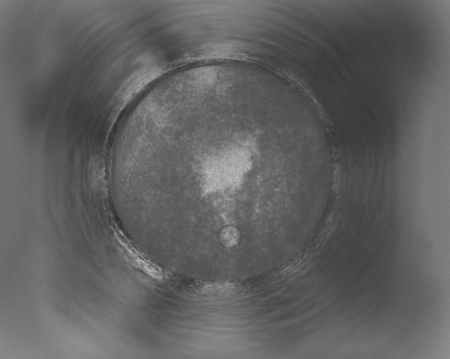 X0000076320882200610201636