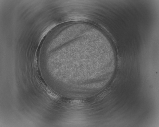 X0000076320883200610201636