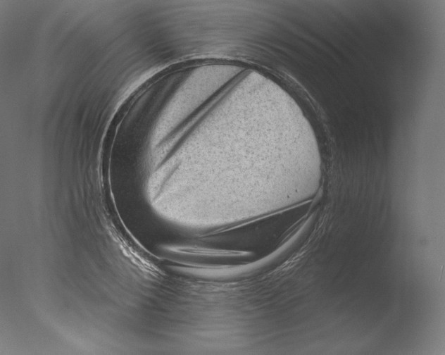 X0000076320884200610201636