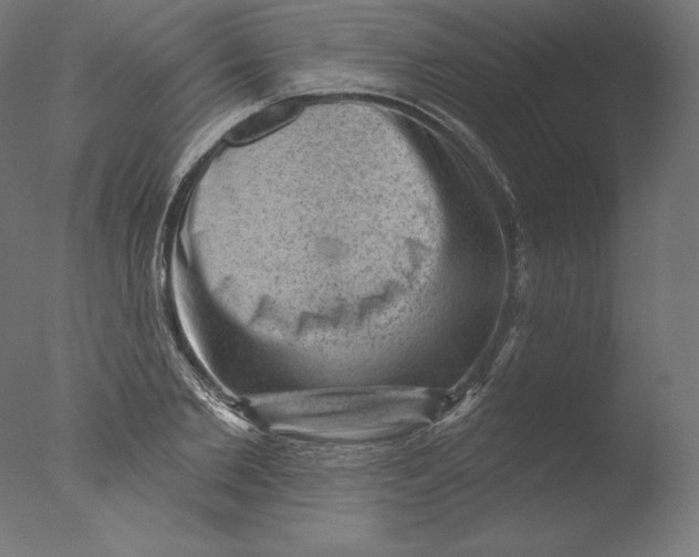 X0000076320885200610201636