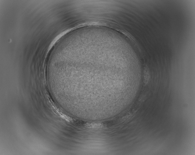 X0000076320886200610201636