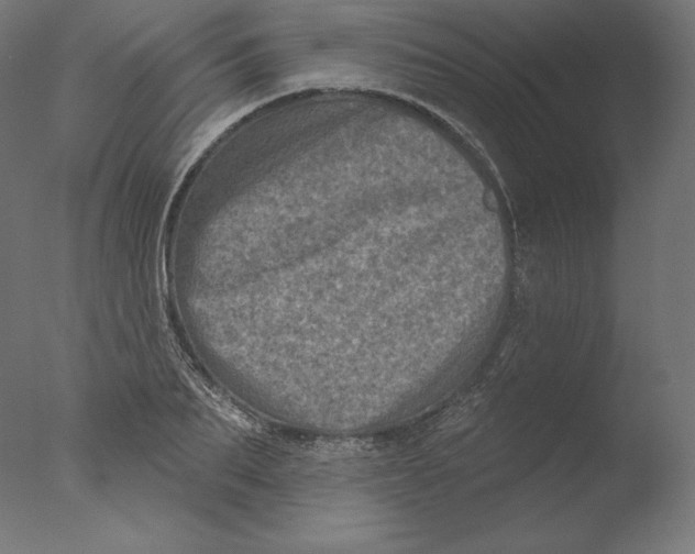 X0000076320887200610201636