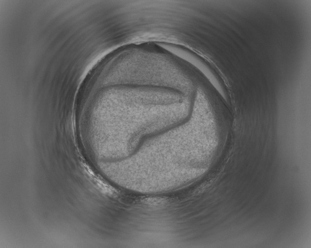 X0000076320888200610201636