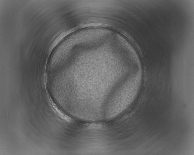 X0000076320890200610201636