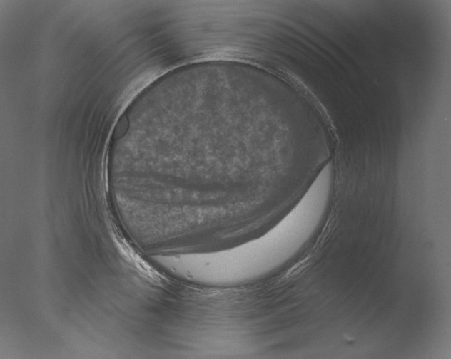 X0000076320892200610201636