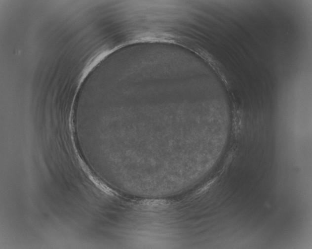 X0000076320893200610201636