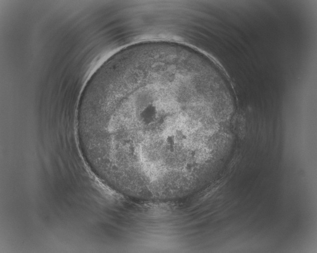 X0000076320895200610201636