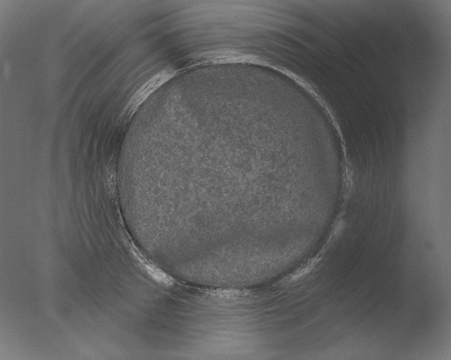 X0000076320897200610201636