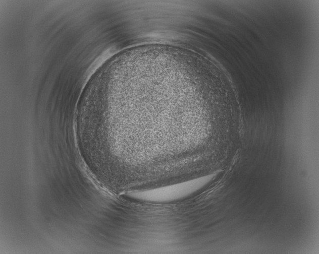 X0000076320899200610201636