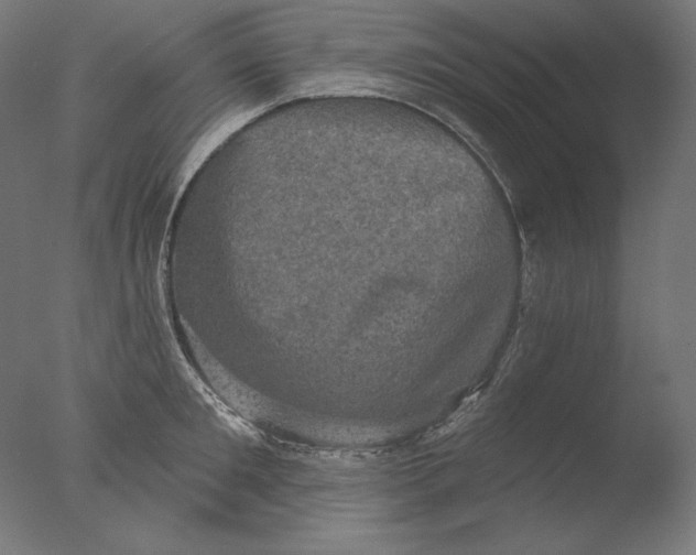 X0000076320901200610201635