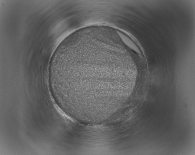 X0000076320903200610201635