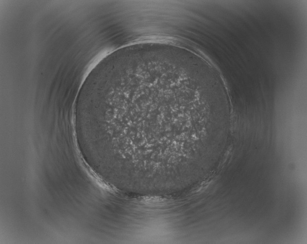 X0000076320907200610201635