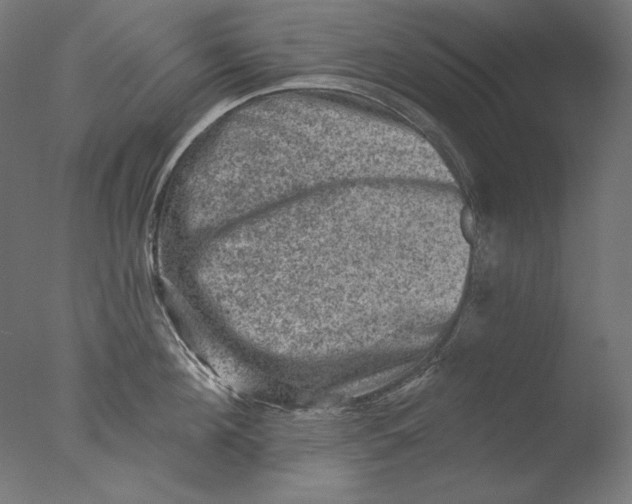 X0000076320908200610201635