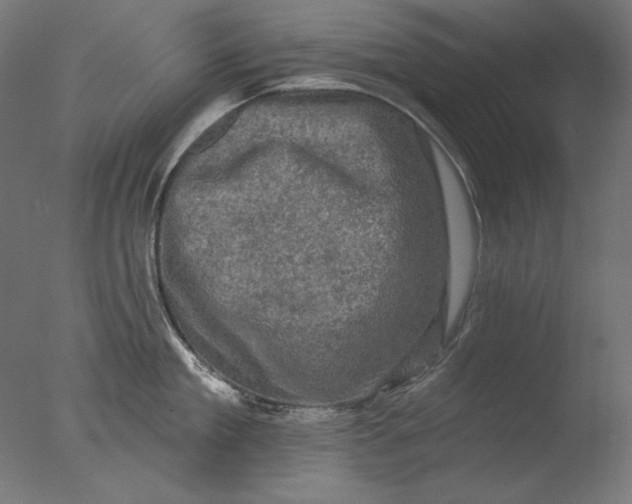 X0000076320909200610201635