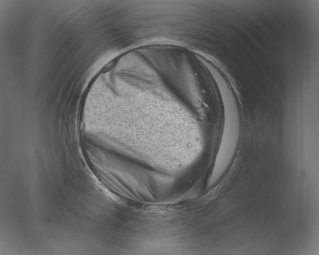 X0000076320910200610201635