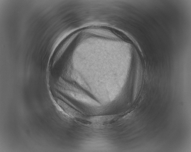 X0000076320911200610201635