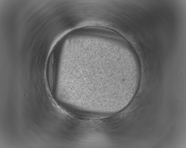 X0000076320912200610201635