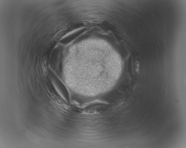 X0000076320915200610201635