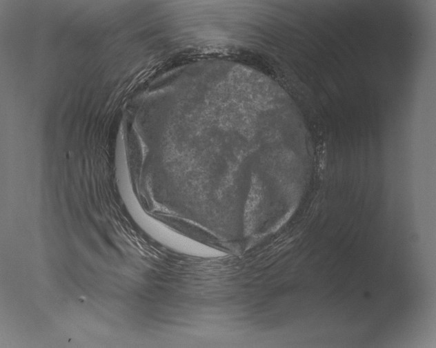 X0000076320916200610201635