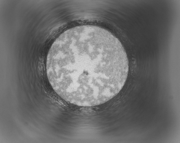 X0000076320918200610201635