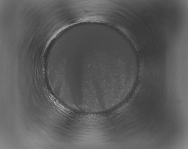 X0000076320923200610201635