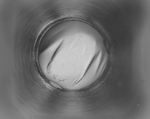 X0000076320924200610201635