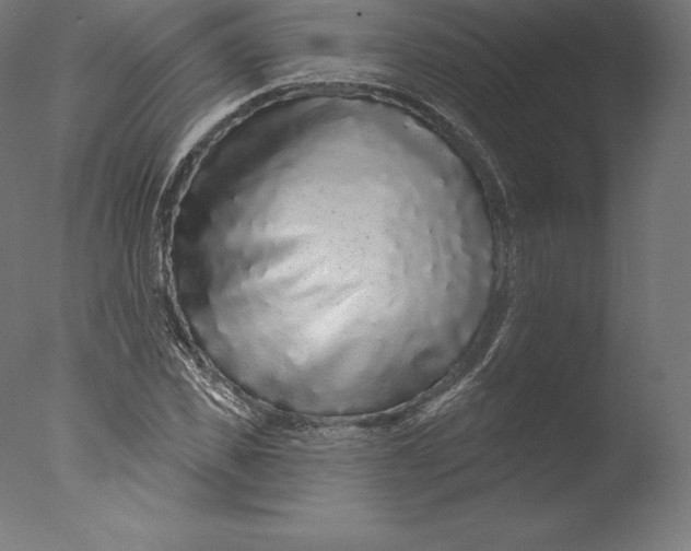 X0000076320925200610201635