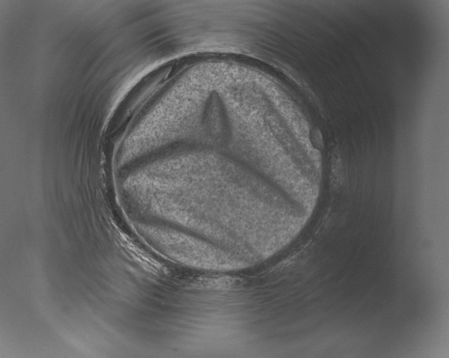 X0000076320926200610201635