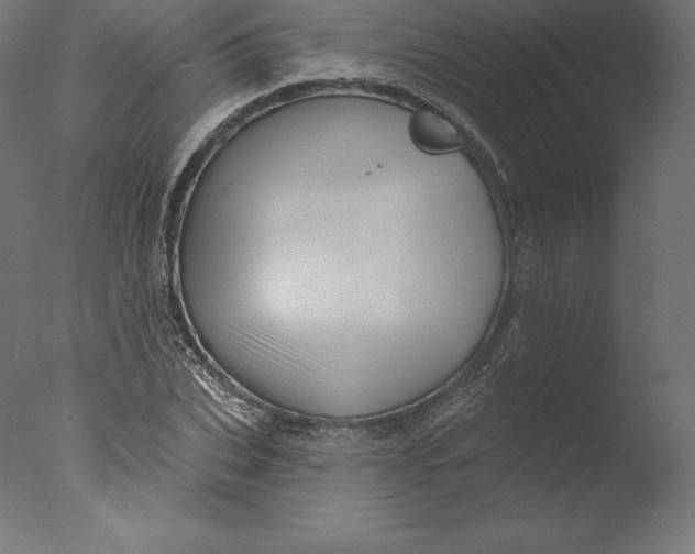 X0000076320927200610201635